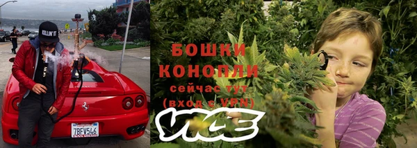 дживик Заволжск