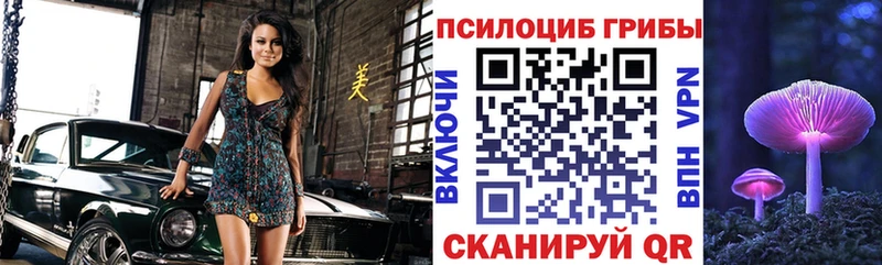 Галлюциногенные грибы GOLDEN TEACHER  Купить где  Кашин 